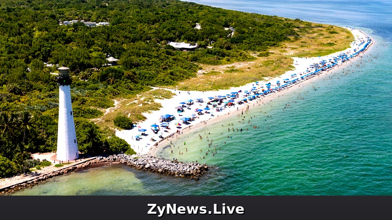 Human Head That Washed up on a Miami Beach Belonged to a Heroic Teen