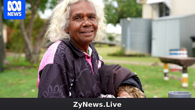 'Get on board or get out of the way': Cherbourg community goes it alone on truth-telling