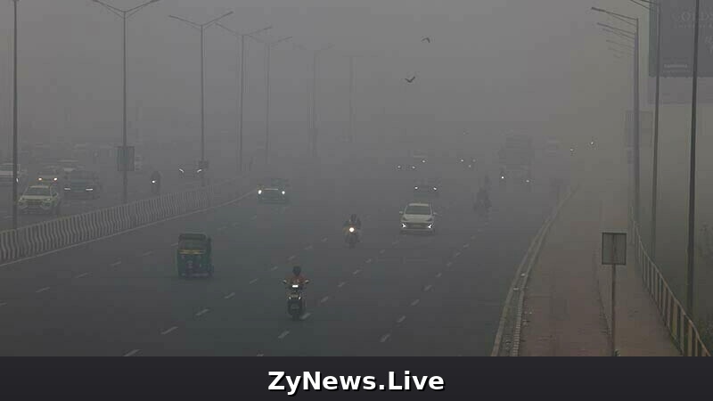 Delhi shuts schools as ‘death trap’ smog chokes megapolis