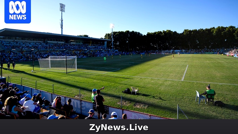 Sydney FC threatens to abandon Leichhardt Oval as pitch forces ALW Unite Round shift